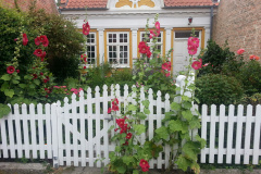 00079-2014-Denmark-Cruise