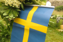 00093-2017-NAS-Swedish-Cruise-93