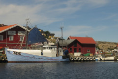 00141-2017-NAS-Swedish-Cruise-141