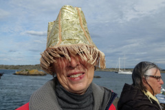 00156-2017-NAS-Swedish-Cruise-156